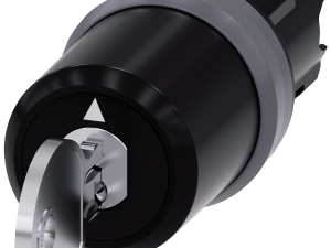 Interruptor de llave BKS, 22 mm, redondo, plástico (3SU1030-5PN51-0AA0)