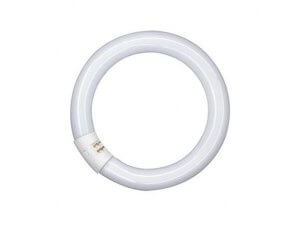 OSRAM TUBO CIRCULAR L 22W/840